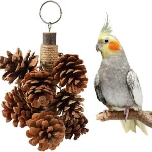 71dFGbHraKL. AC SL1200 .jpg