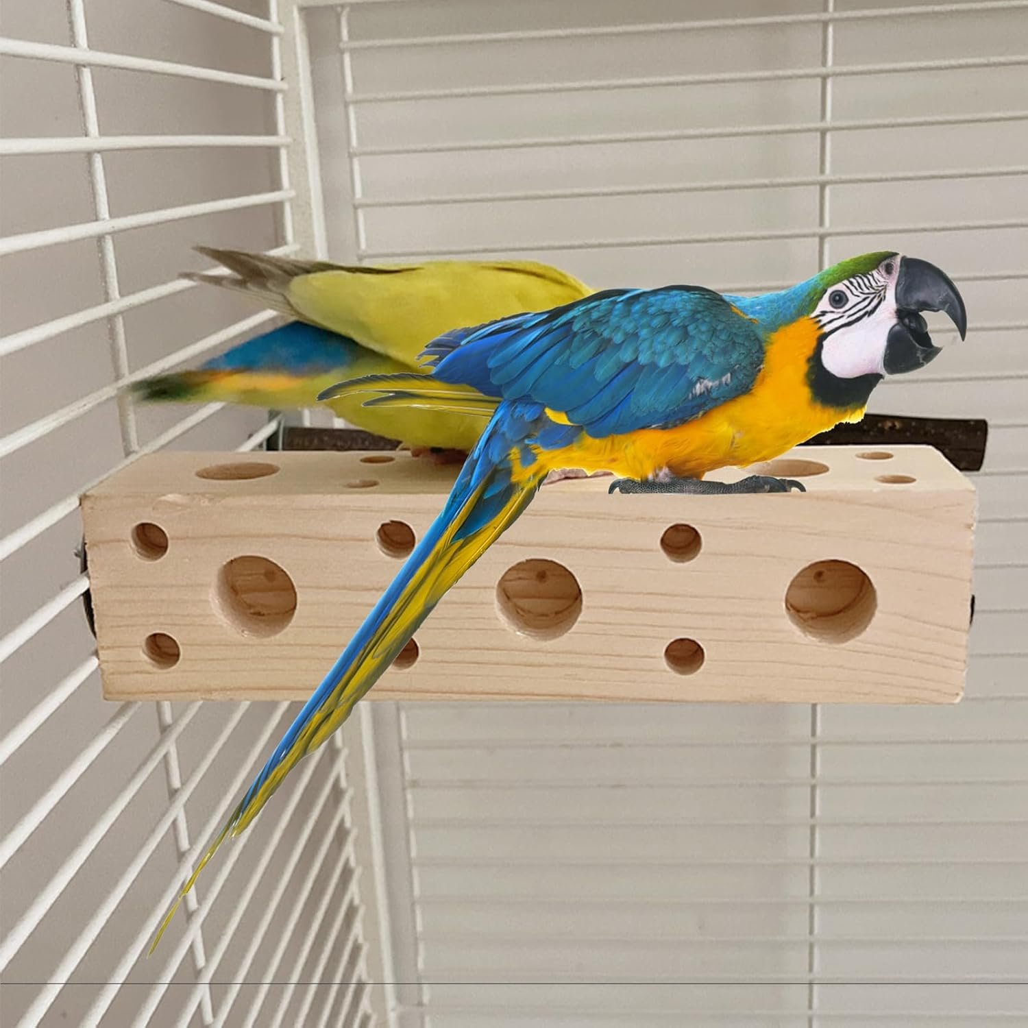 71de8pIc6L. AC SL1500 .jpg