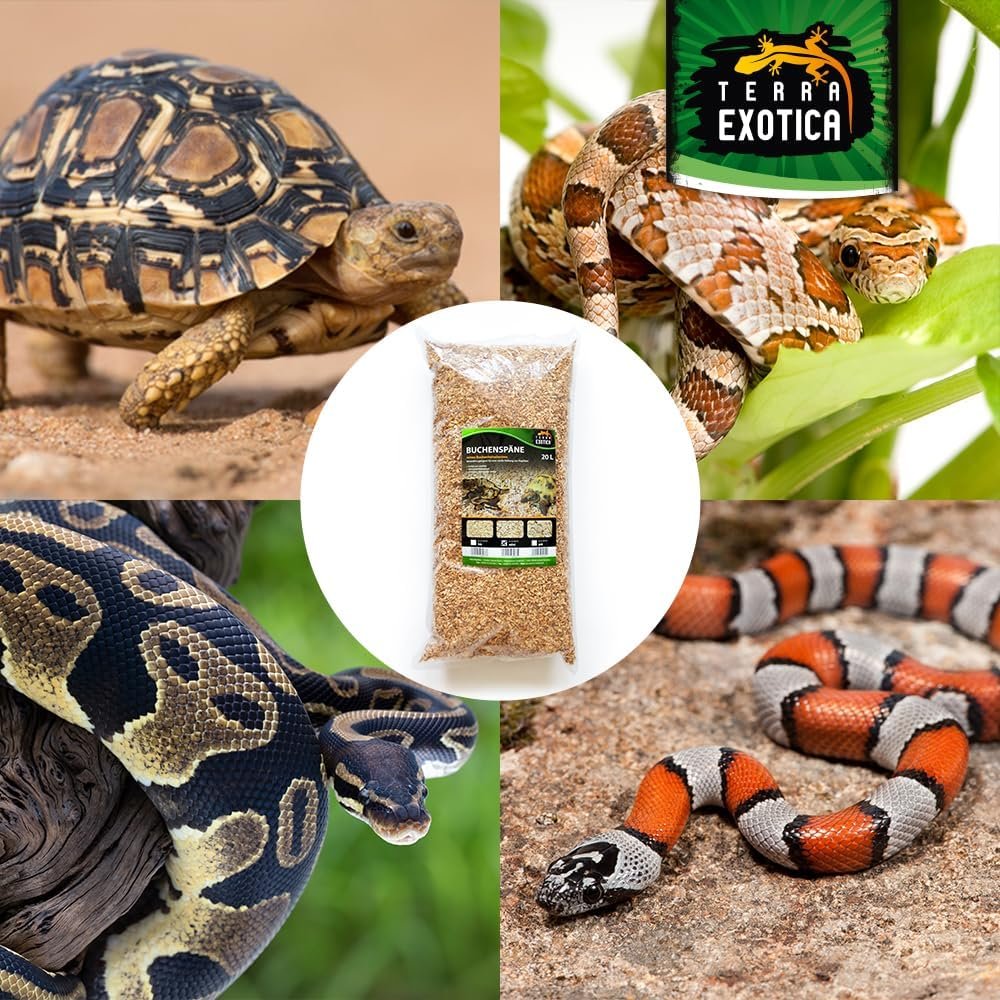 71dkkxYxgeL. AC SL1000 .jpg