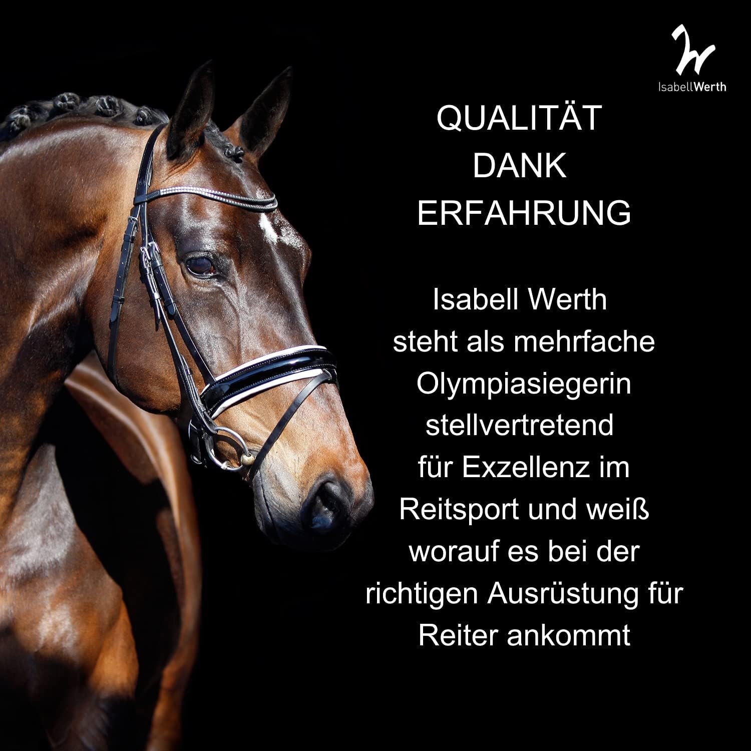 71eMXsctpIL. AC SL1500 .jpg