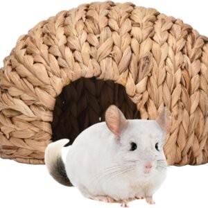 71eMeVqXrqL. AC SL1500 .jpg