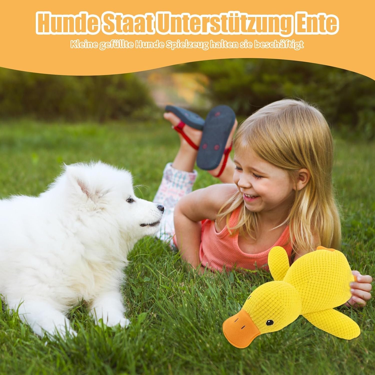 71eNpxj4s6L. AC SL1500 .jpg