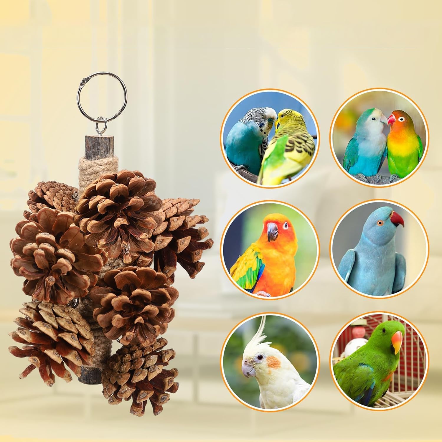 71ePM0W2VTL. AC SL1500 .jpg