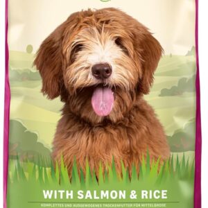 71eQBCkR6TL. AC SL1500 .jpg