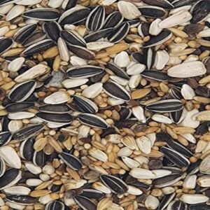 71eT8cnucoL. AC SL1200 .jpg