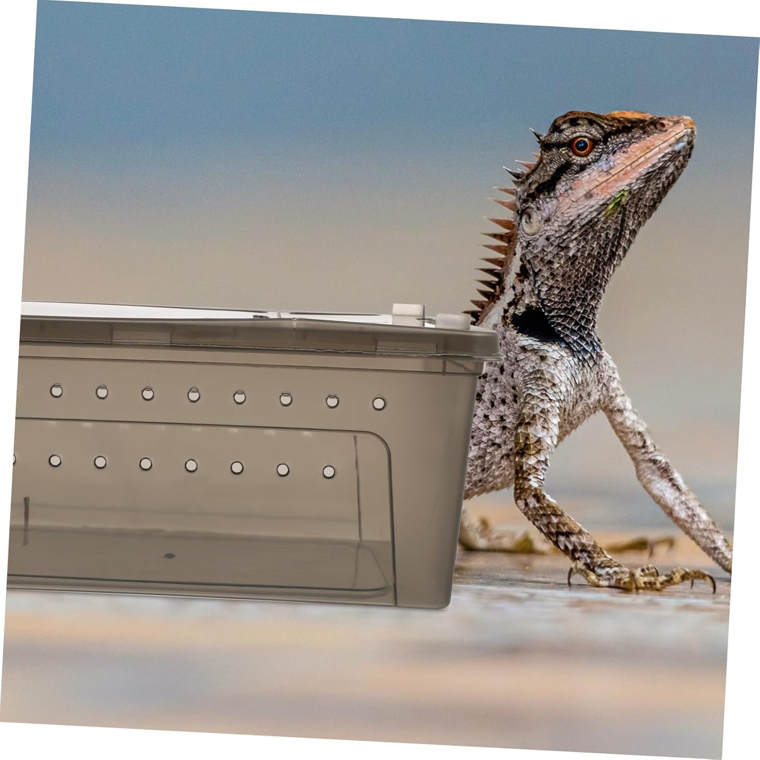 71exA8VkczL. AC SL1500 .jpg