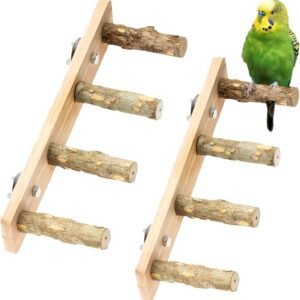 71fH9HWwuL. AC SL1500 .jpg