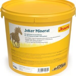 71fI5oVt9oL. AC SL1500 .jpg