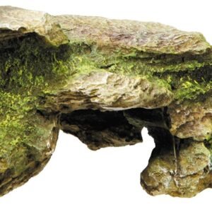 71fL6BtGWxL. AC SL1299 .jpg