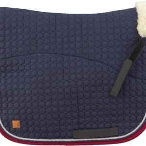 71fcVjPMoJL. AC SL1500 .jpg