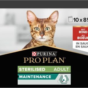 71fmwpgE9 L. AC SL1500 .jpg