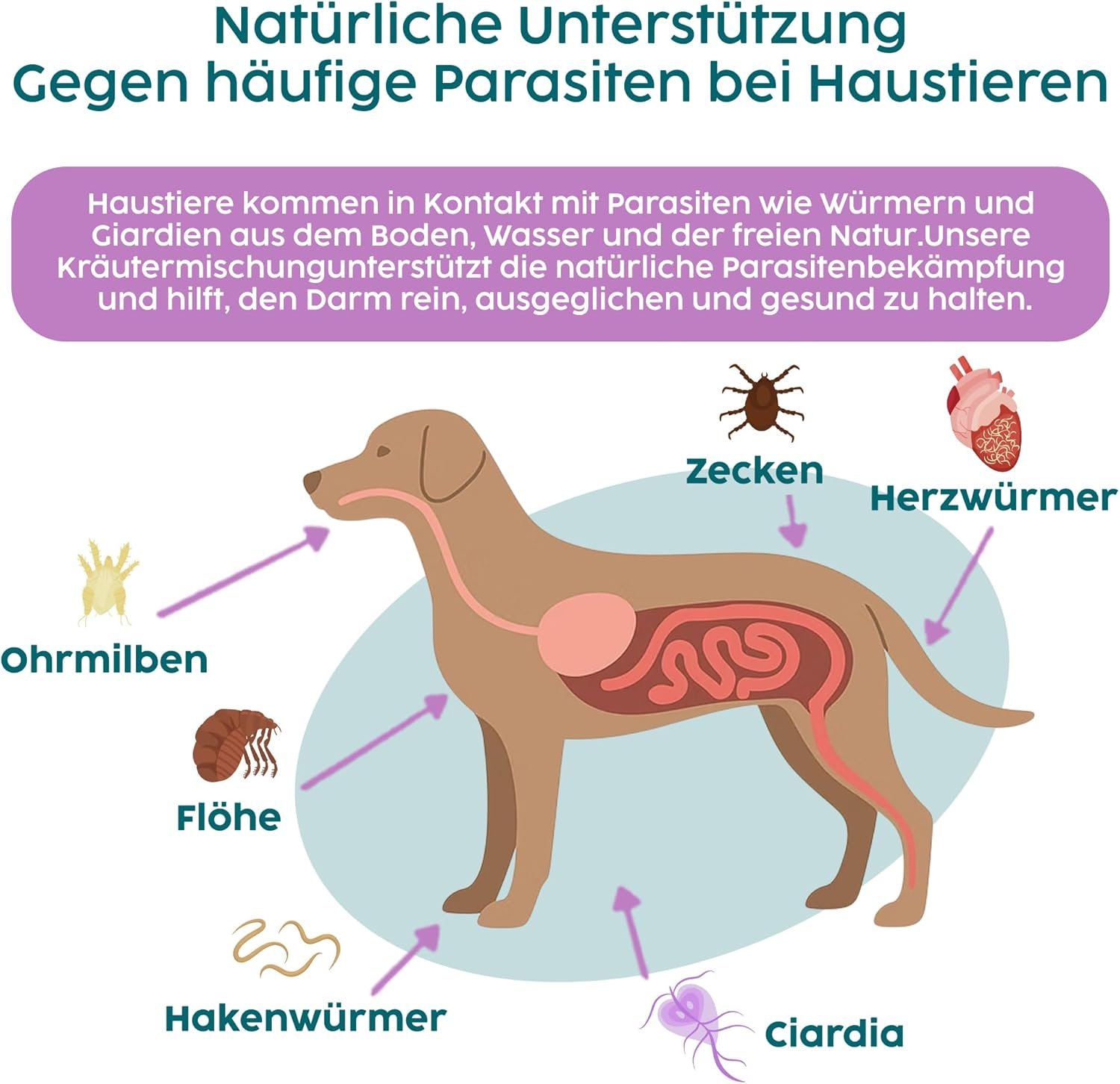71fnLw8RrL. AC SL1500 .jpg