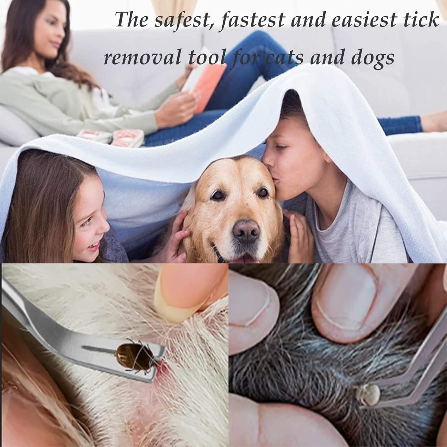 71fqo553UxL. AC SL1500 .jpg