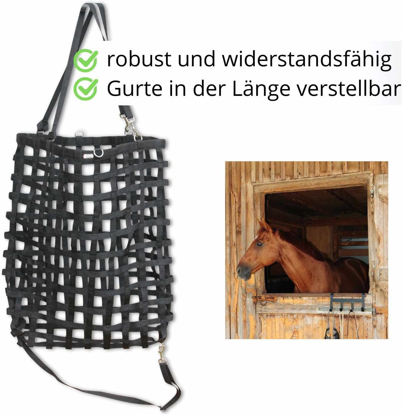 71fyOnv6ENL. AC SL1500 .jpg