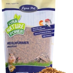 71g7T35nHbL. AC SL1500 .jpg