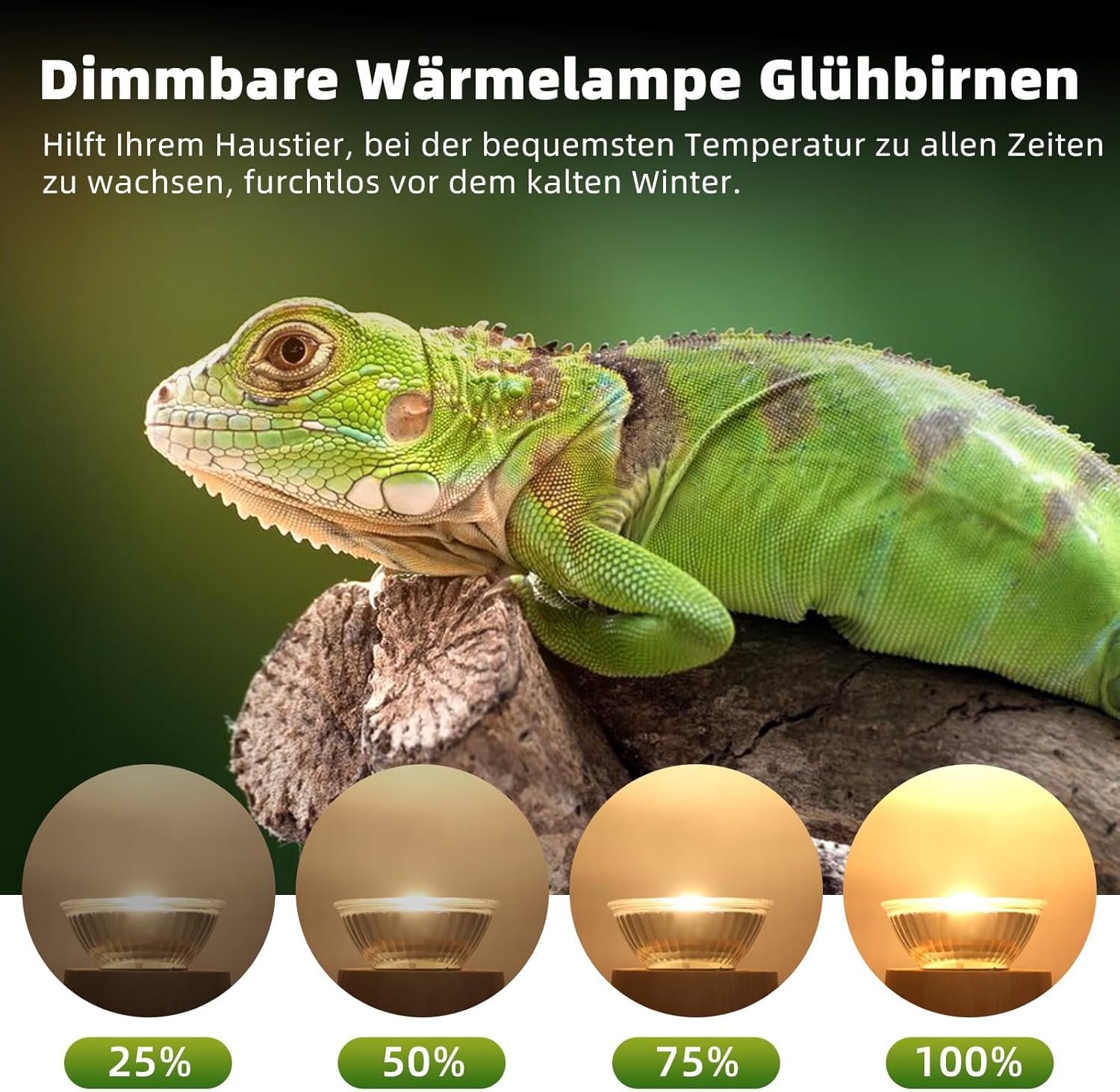 71gE2xn2gAL. AC SL1500 .jpg