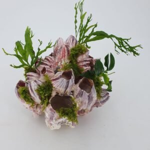 71gQEJIqDhL. AC SL1500 .jpg