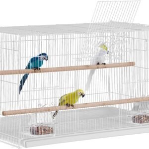 71gXgNcBhBL. AC SL1500 .jpg