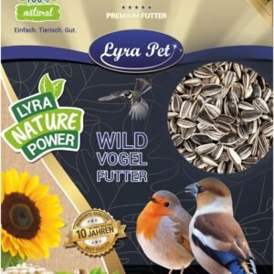 71gno5XHCQL. AC SL1500 .jpg