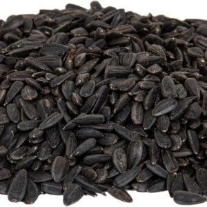 71gq4Um bL. AC SL1500 .jpg