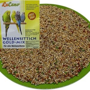 71h1MSJT8pL. AC SL1002 .jpg