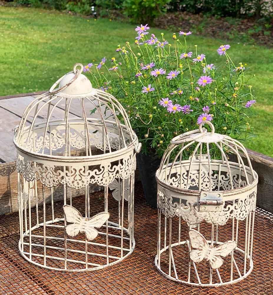 71ic1zMdQL. AC SL1000 .jpg