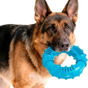 71i0NeOxOUL. AC SL1500 .jpg