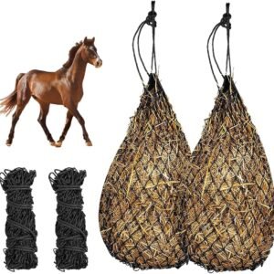 71i0WDXcyNL. AC SL1000 .jpg