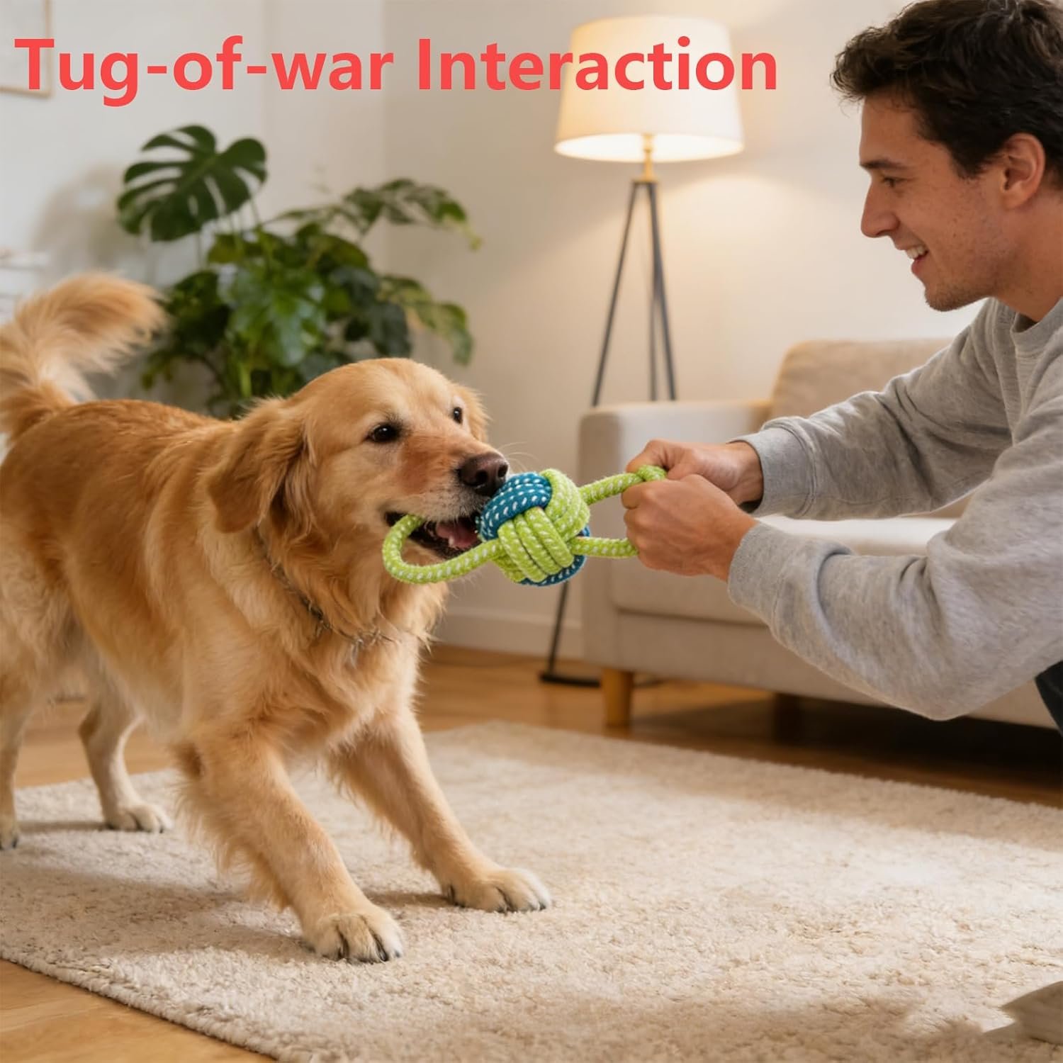 71iCSQ00peL. AC SL1500 .jpg