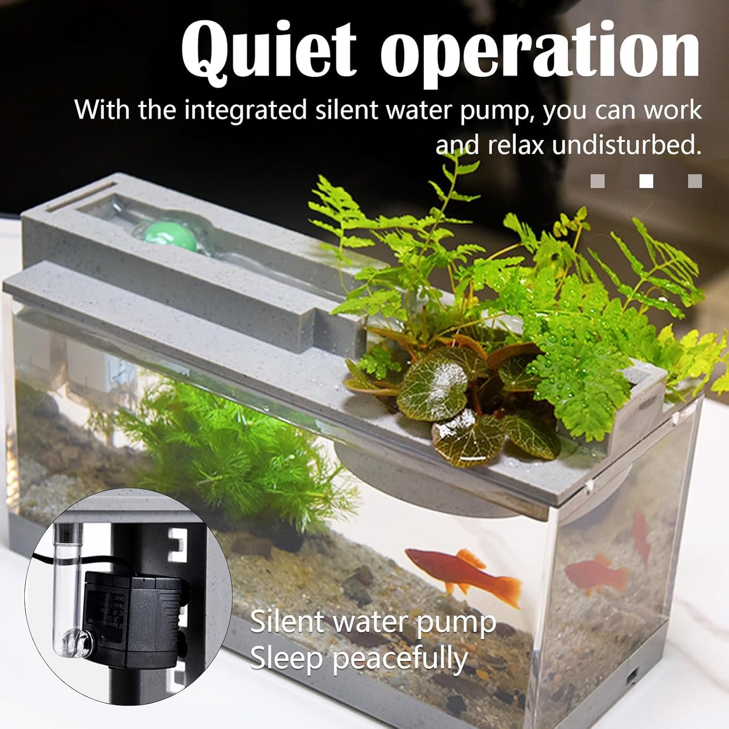 71iNd5 jz4L. AC SL1500 .jpg