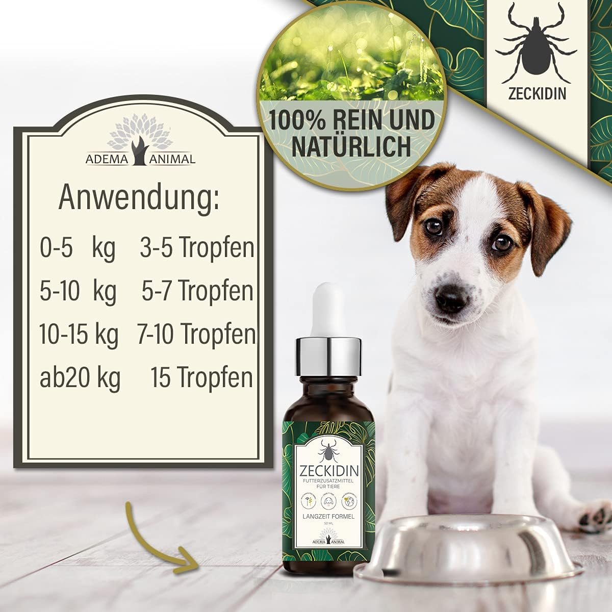 71idYWKTwfS. AC SL1200 .jpg