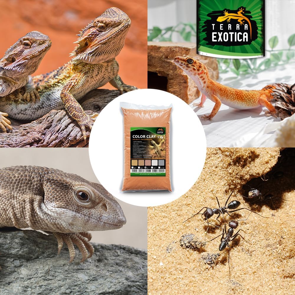 71ik0vqyKIL. AC SL1000 .jpg