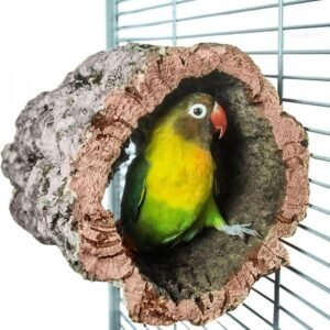 71inItq5HiL. AC SL1280 .jpg