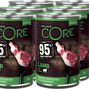 71jj StOn3L. AC SL1500 .jpg