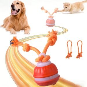 71jswmatfgL. AC SL1500 .jpg