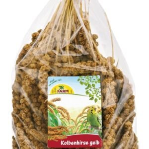 71jzzVO5T1L. AC SL1280 .jpg