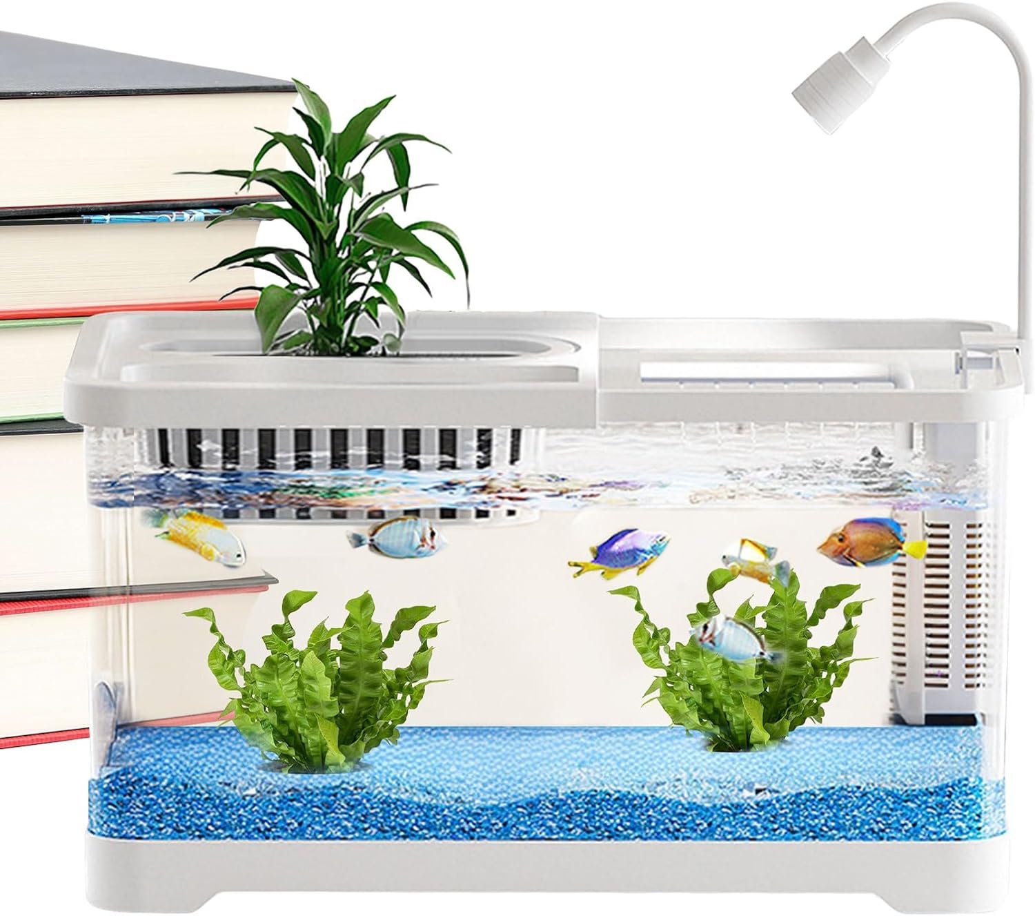 Kleines Aquarium – Betta Landschaftsaquarium Komplettset, klares Landschaftsbecken für Guppys, Schnecken, Schildkröten, Haustierliebhaber, Anfänger, Schreibtisch, Zuhause Kleines Aquarium – Betta Landschaftsaquarium Komplettset, klares Landschaftsbecken für Guppys, Schnecken, Schildkröten, Haustierliebhaber, Anfänger, Schreibtisch, Zuhause