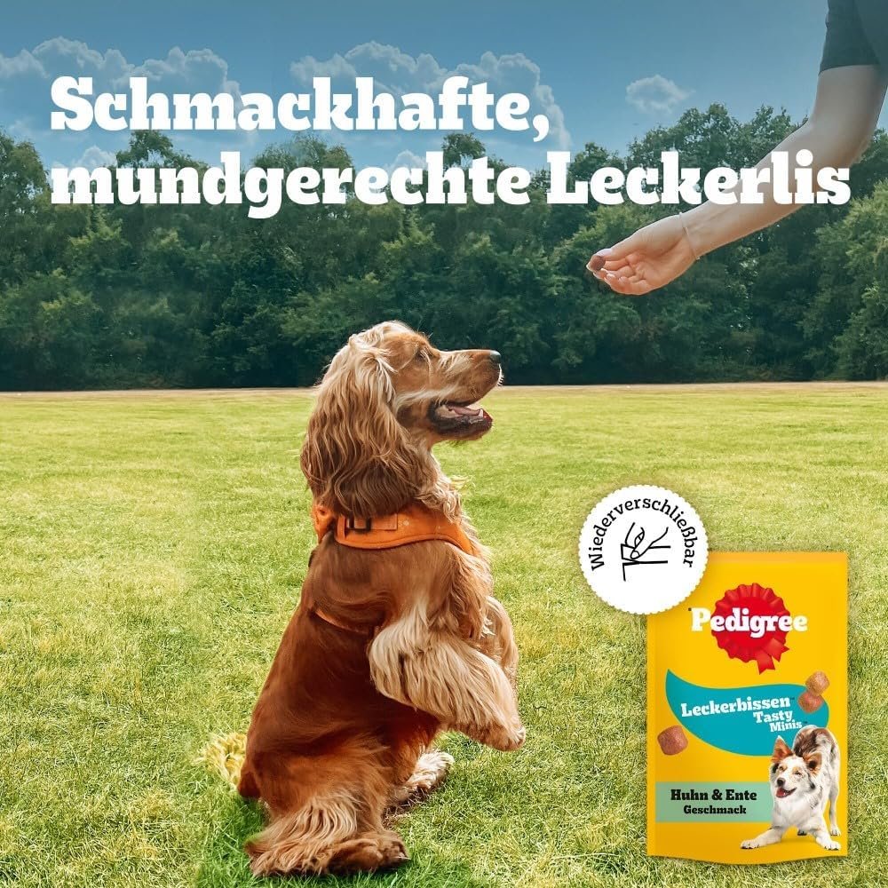 71kZwDrAthL. AC SL1000 .jpg