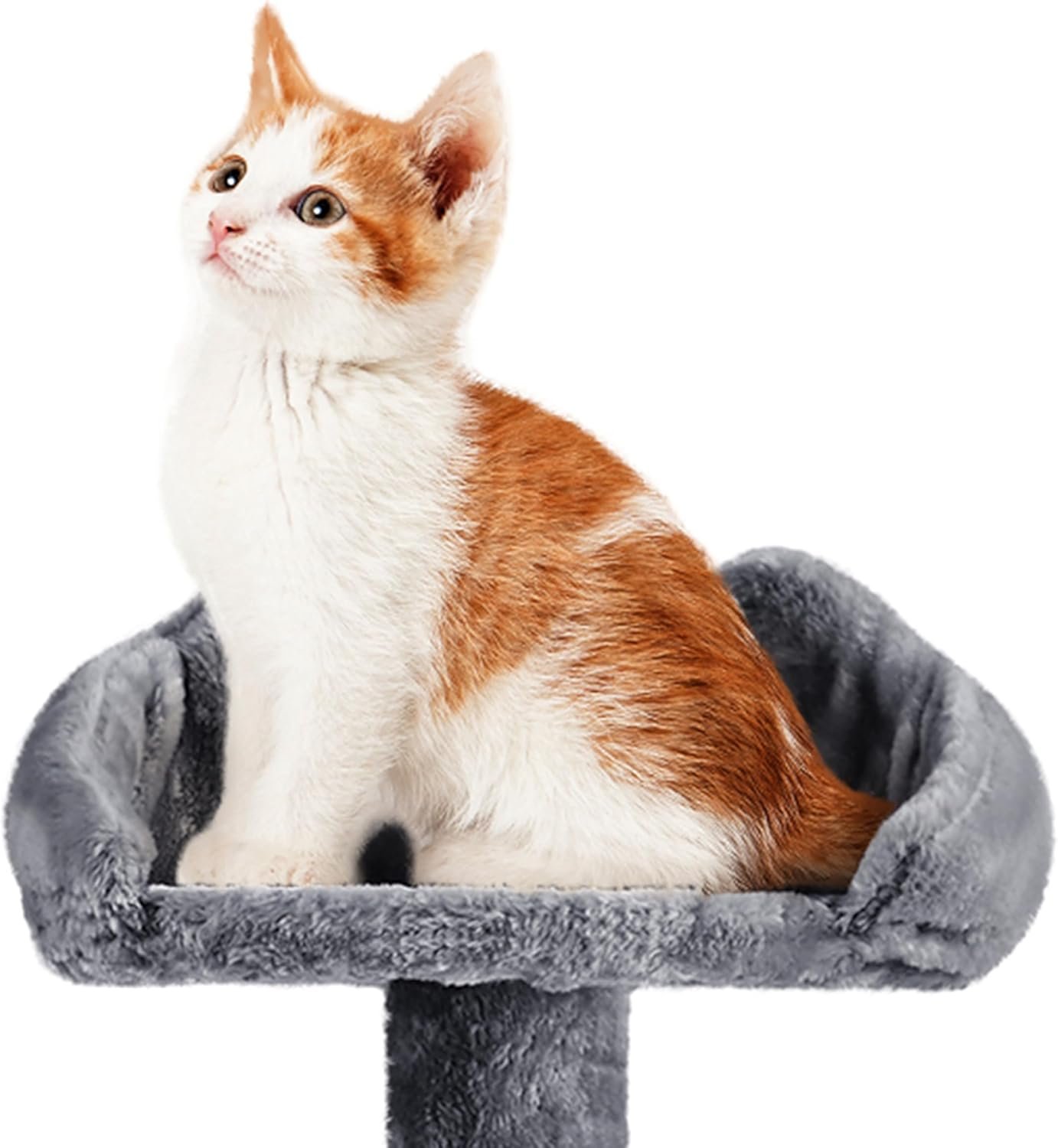 71kcOWSNtnL. AC SL1500 .jpg