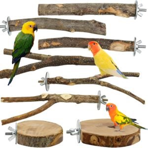 71lE3pcWohL. AC SL1500 .jpg