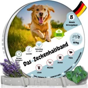 71lGI7WfkHL. AC SL1080 .jpg