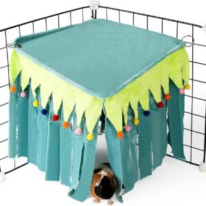 71lX53ZVVDL. AC SL1500 .jpg