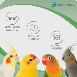 71lZwtCsbL. AC SL1500 .jpg