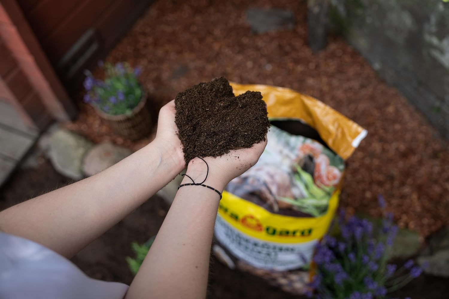 71mAc9dIofL. AC SL1500 .jpg