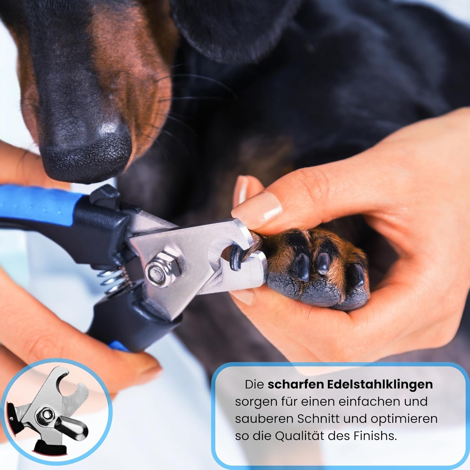 71mFJIiEUeL. AC SL1500 .jpg