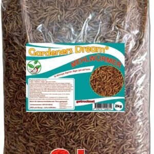 71mW 0oRGqL. AC SL1500 .jpg