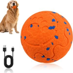 71mfgEyRYPL. AC SL1500 .jpg