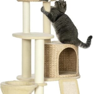 71mmaInbL. AC SL1500 .jpg