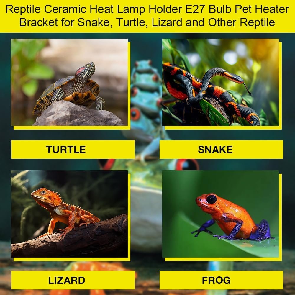 71n4AvLgwVL. AC SL1000 .jpg