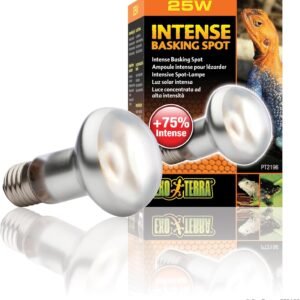 71n4C0amNtL. AC SL1500 .jpg